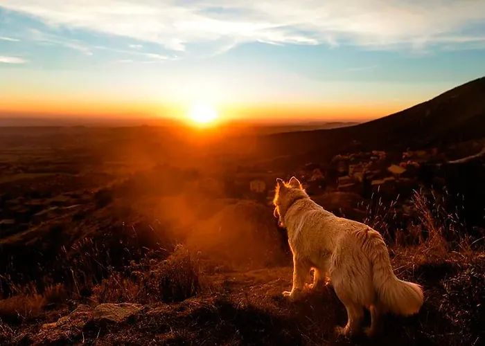 Casa Calvo En La Sierra De Guara Privada Con Piscina Grupos *